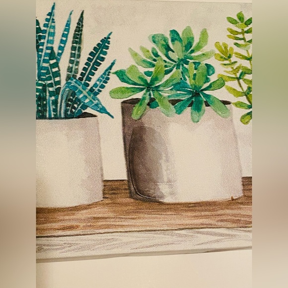 Canvas Wall Art “Succulent Pots” by Cindy Jacobs - Picture 9 of 14